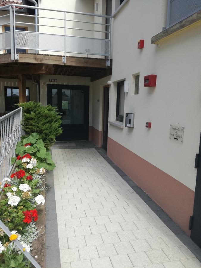 Hotel La Boite A Sel Volgelsheim Exterior foto
